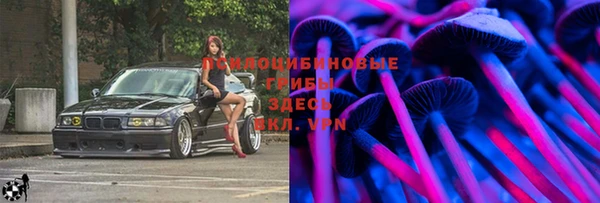 экстази Богородицк