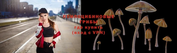 экстази Богородицк